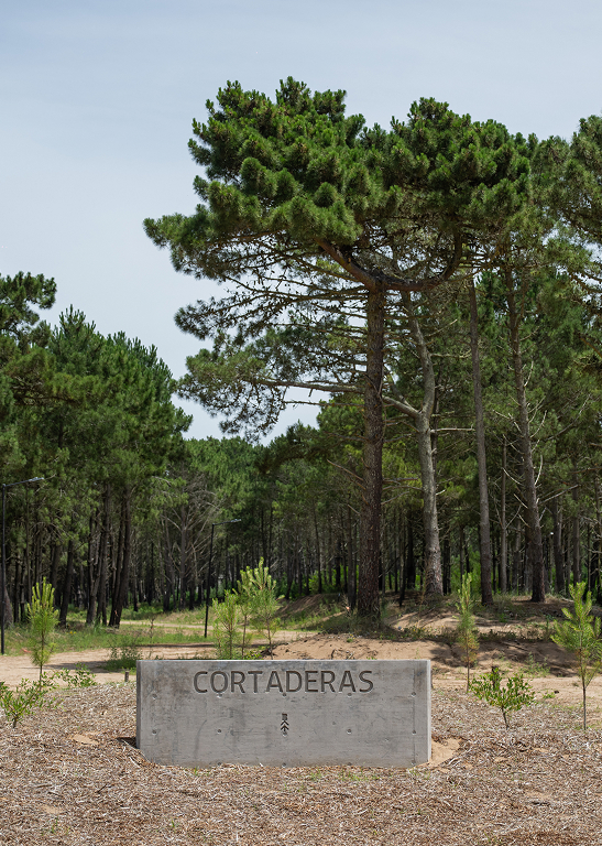 Comunidad, naturaleza y origen